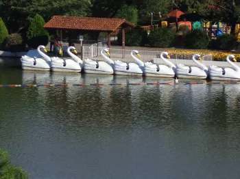 Foto: Fernando Camargo