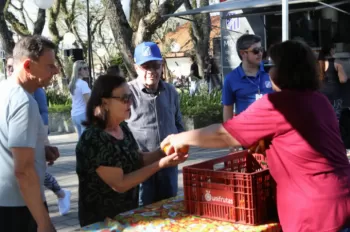 Lagarteando na Campestre