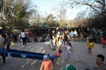 Lagarteando na Campestre