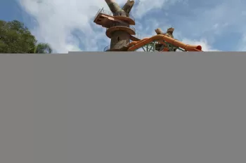 Foto: Fernando Camargo