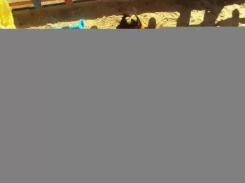Atividades Doritos