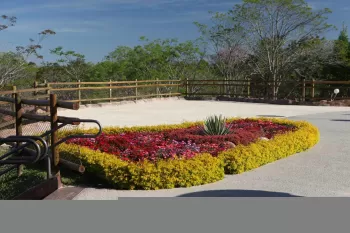 Foto: Fernando Camargo