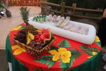 Luau no Praia!