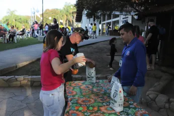 Lagarteando