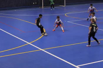 Gauchão de Futsal