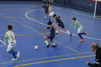 Estadual de Futsal