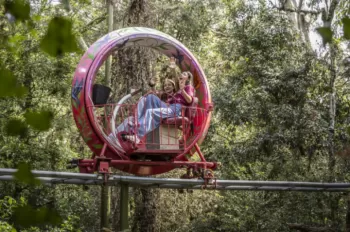 Debutantes 2025 - Viagem 