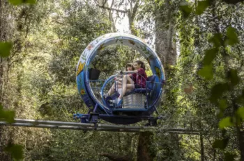 Debutantes 2025 - Viagem 