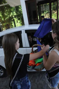 PicNic 2019