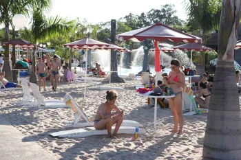 PicNic 2019