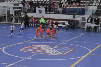 Gauchão de Futsal