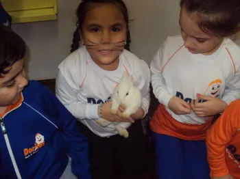 Atividades desenvolvidas na Escola Doritos