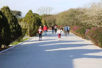 Lagarteando 2ª Edição