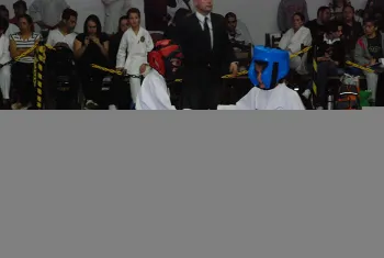 torneiokarate