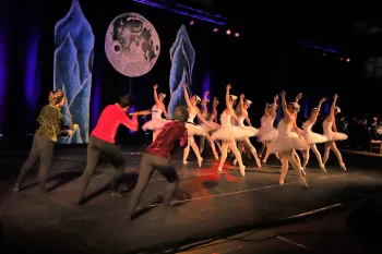 Ballet O Lago dos Cisnes