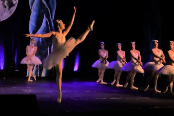 Ballet O Lago dos Cisnes