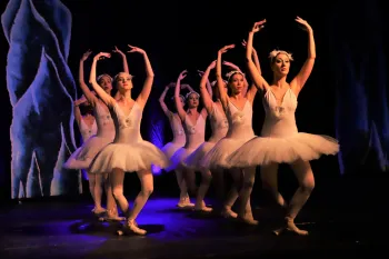 Ballet O Lago dos Cisnes