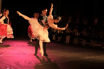 Ballet O Lago dos Cisnes