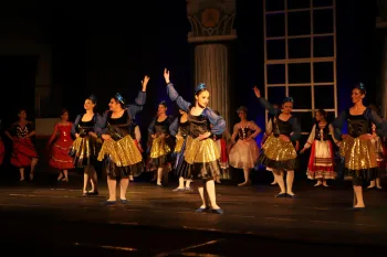 Ballet O Lago dos Cisnes