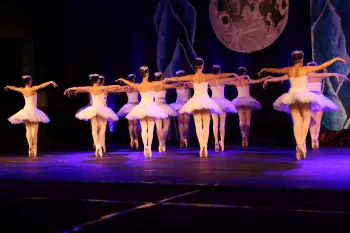 Ballet O Lago dos Cisnes