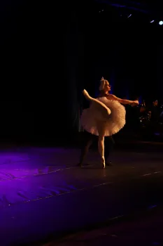 Ballet O Lago dos Cisnes