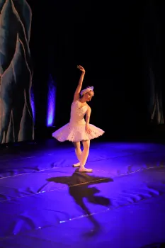 Ballet O Lago dos Cisnes