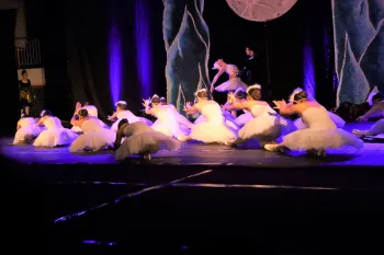 Ballet O Lago dos Cisnes