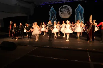 Ballet O Lago dos Cisnes