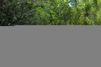 Colônia de Férias - 2ª Turma