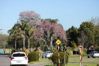 Final de Semana - Sede Campestre