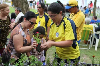 PicNic Dores 2018