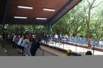 Projeto Verão 2019 - Torneio de Bocha