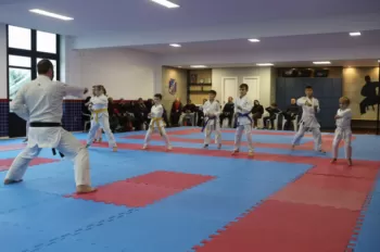 Exame de Troca de Faixa - Karatê