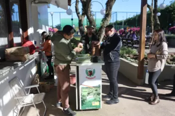 Lagarteando 