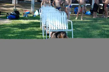 colonia 2012