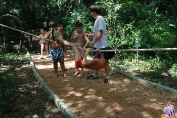 colonia 2011