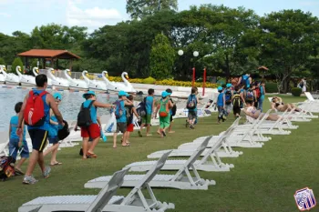 colonia 2011