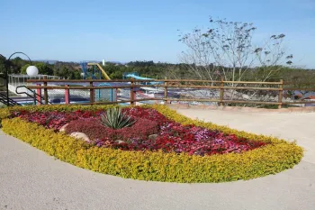 Foto: Fernando Camargo