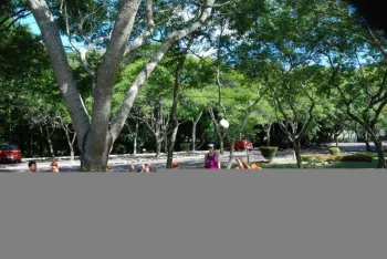 Colônia de Férias 2014 - 1ª Turma