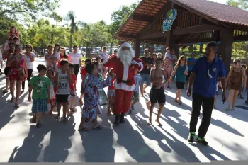 Foto: Fernando Camargo
