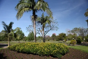 Foto: Fernando Camargo