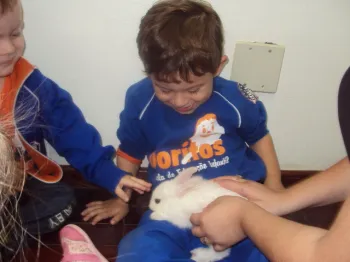 Atividades desenvolvidas na Escola Doritos