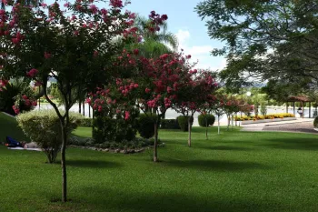 Foto: Fernando Camargo
