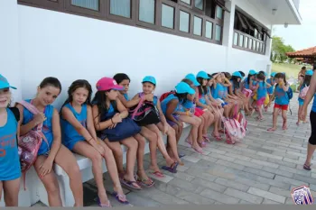 colonia 2011