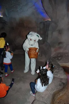 Chegada do Coelho na Sede Campestre - Doritos Infantil IV e V