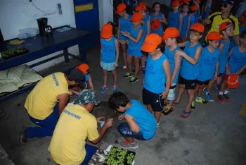 Foto: Fernando Camargo