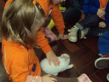 Atividades desenvolvidas na Escola Doritos