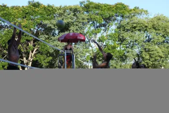 Foto: Fernando Camargo