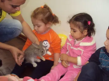 Atividades desenvolvidas na Escola Doritos