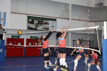 Foto: Fernando Camargo